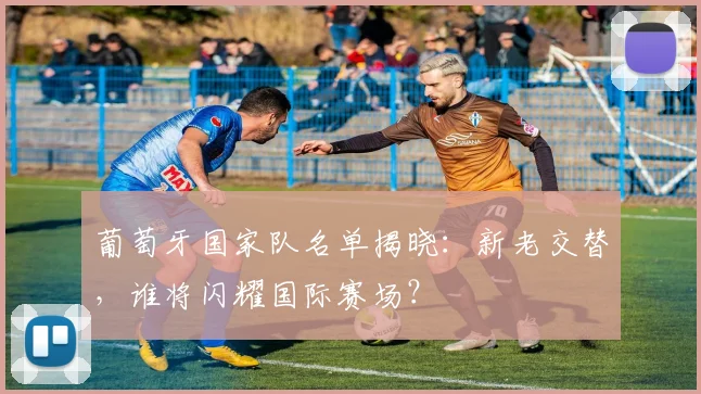 葡萄牙国家队名单揭晓：新老交替，谁将闪耀国际赛场？