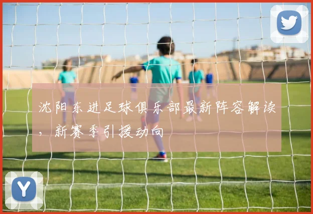 沈阳东进足球俱乐部最新阵容解读,新赛季引援动向
