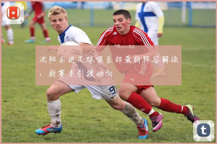 沈阳东进足球俱乐部最新阵容解读,新赛季引援动向