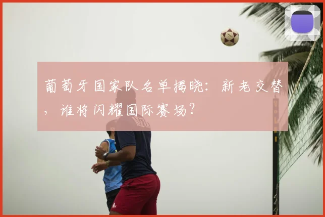 葡萄牙国家队名单揭晓：新老交替，谁将闪耀国际赛场？