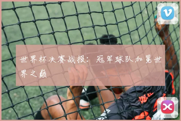 世界杯决赛战报：冠军球队加冕世界之巅