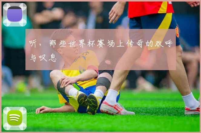 听，那些世界杯赛场上传奇的欢呼与叹息