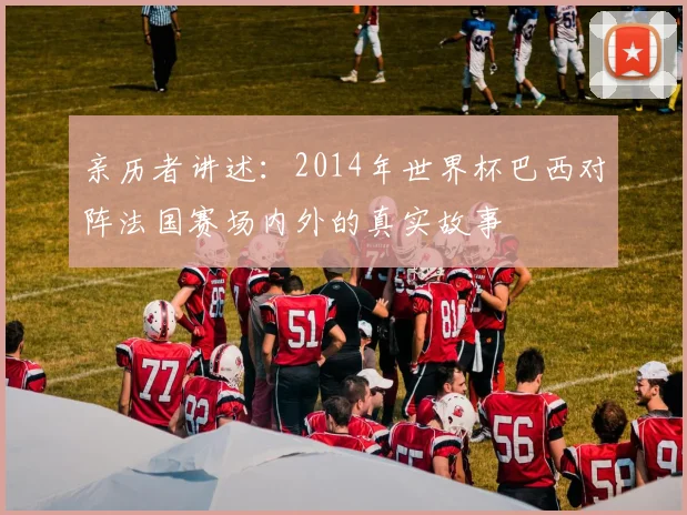亲历者讲述:2014年世界杯巴西对阵法国赛场内外的真实故事