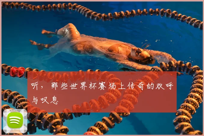 听，那些世界杯赛场上传奇的欢呼与叹息