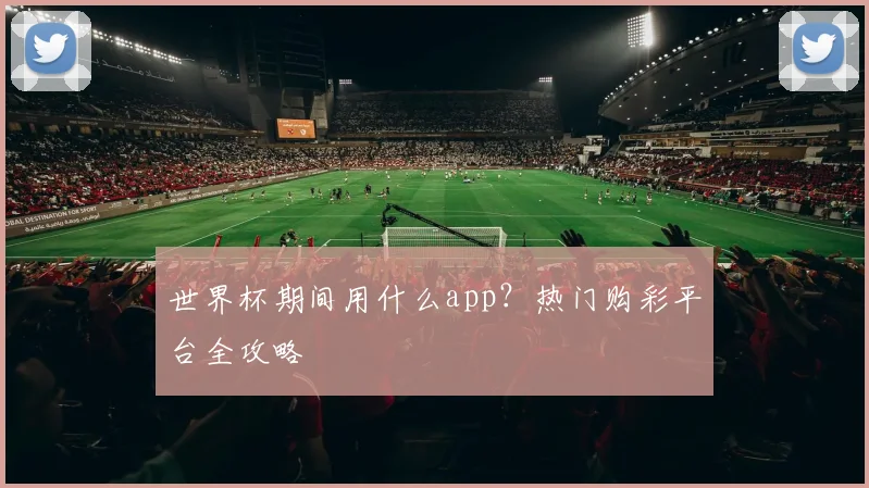 世界杯期间用什么app?热门购彩平台全攻略