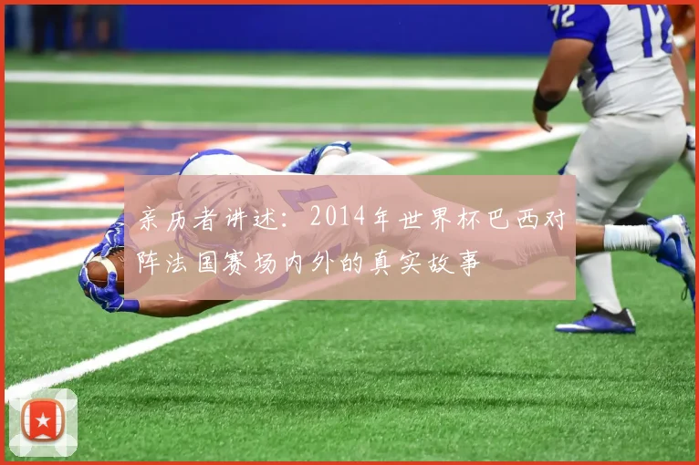 亲历者讲述:2014年世界杯巴西对阵法国赛场内外的真实故事