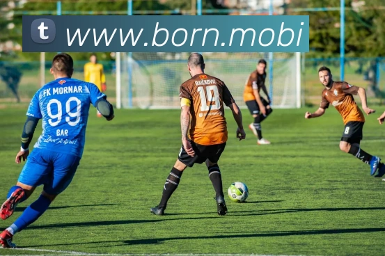 开云手机入口官方网站平台生态图