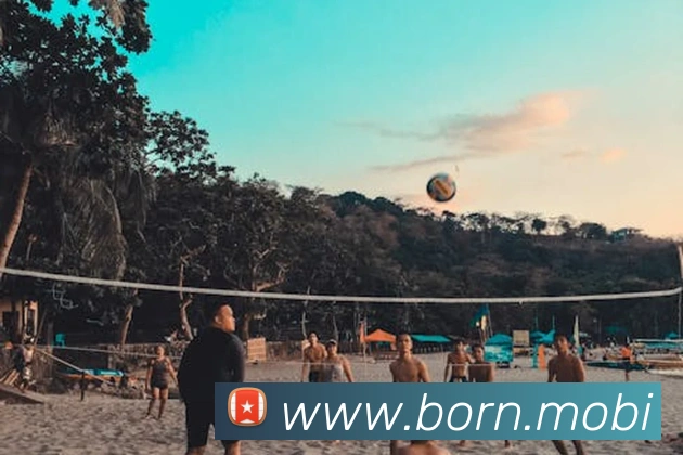 开云手机入口官方网站全站App